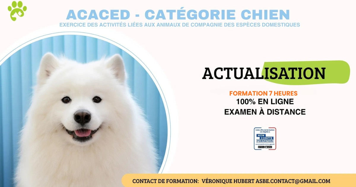 Formation ACTUALISATION ACACED en Ligne – Chien
