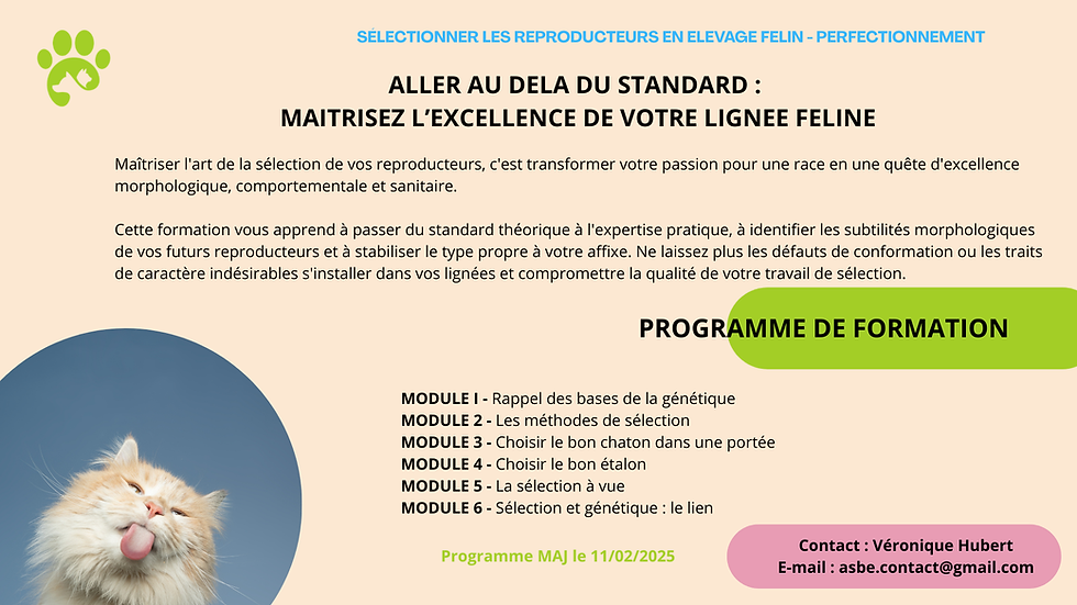Miniature : Formation Sélectionner les Reproducteurs en Élevage Félin (Perf) - 28h