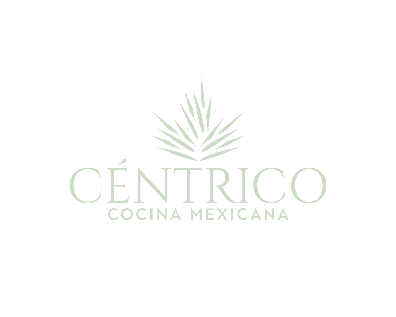 centrico mint logo web.png