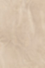 Paper Texture (22)_edited.jpg