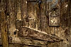 wooden-texture-2025-02-21-09-14-57-utc_edited.jpg