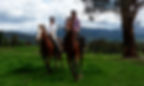 Bogong Horseback Adventures