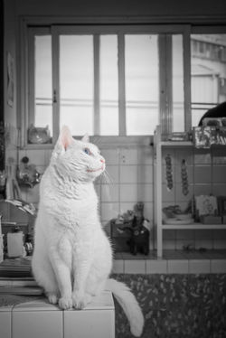 DSC_83412