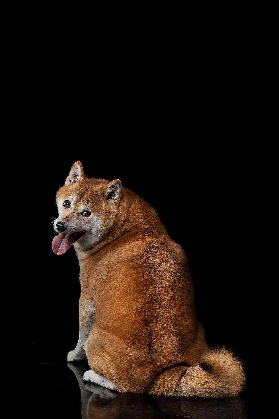 DSC_51322