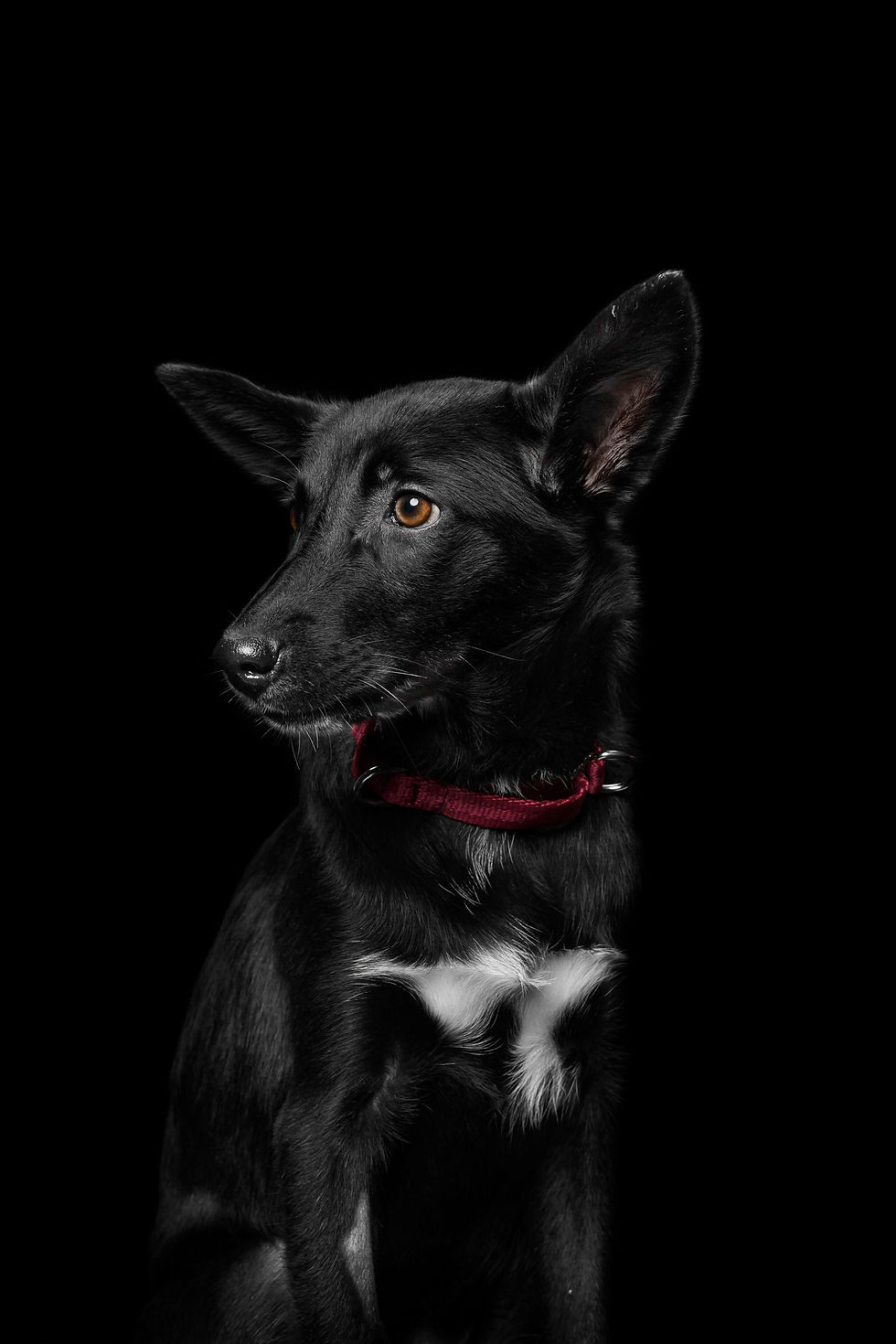 DSC_03182