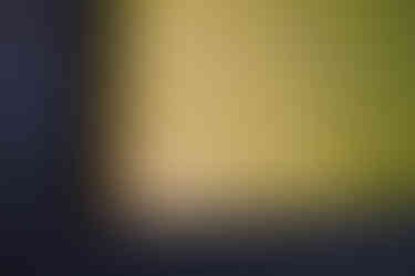 00509 FOGLIA D'ORO (3).jpg