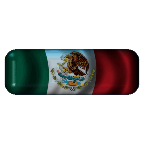 ESCOLTAS VIP MEXICO