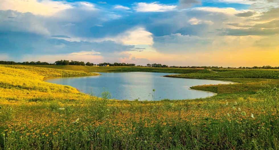 The Hollows Conservation Area