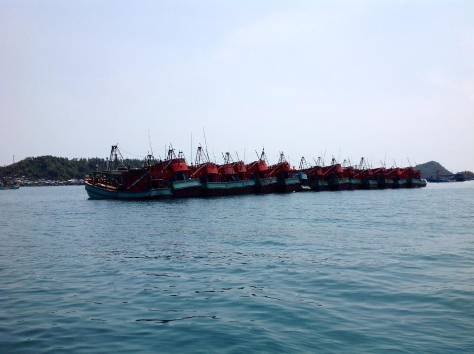 The fleet