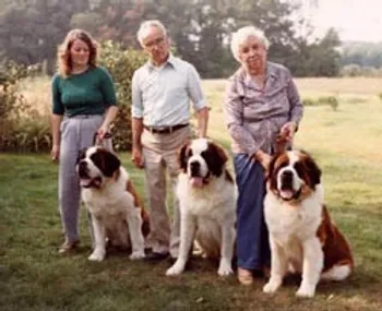Akc Saint Bernard Breeders Bridgewater Ma Carmen Kennels