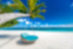 shutterstock_1135932671.jpg