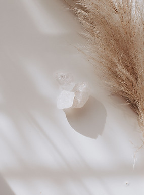 pexels-birgith-roosipuu-181569876-12035714.jpg