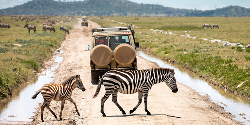 Luxury_safari_from_zanzibar