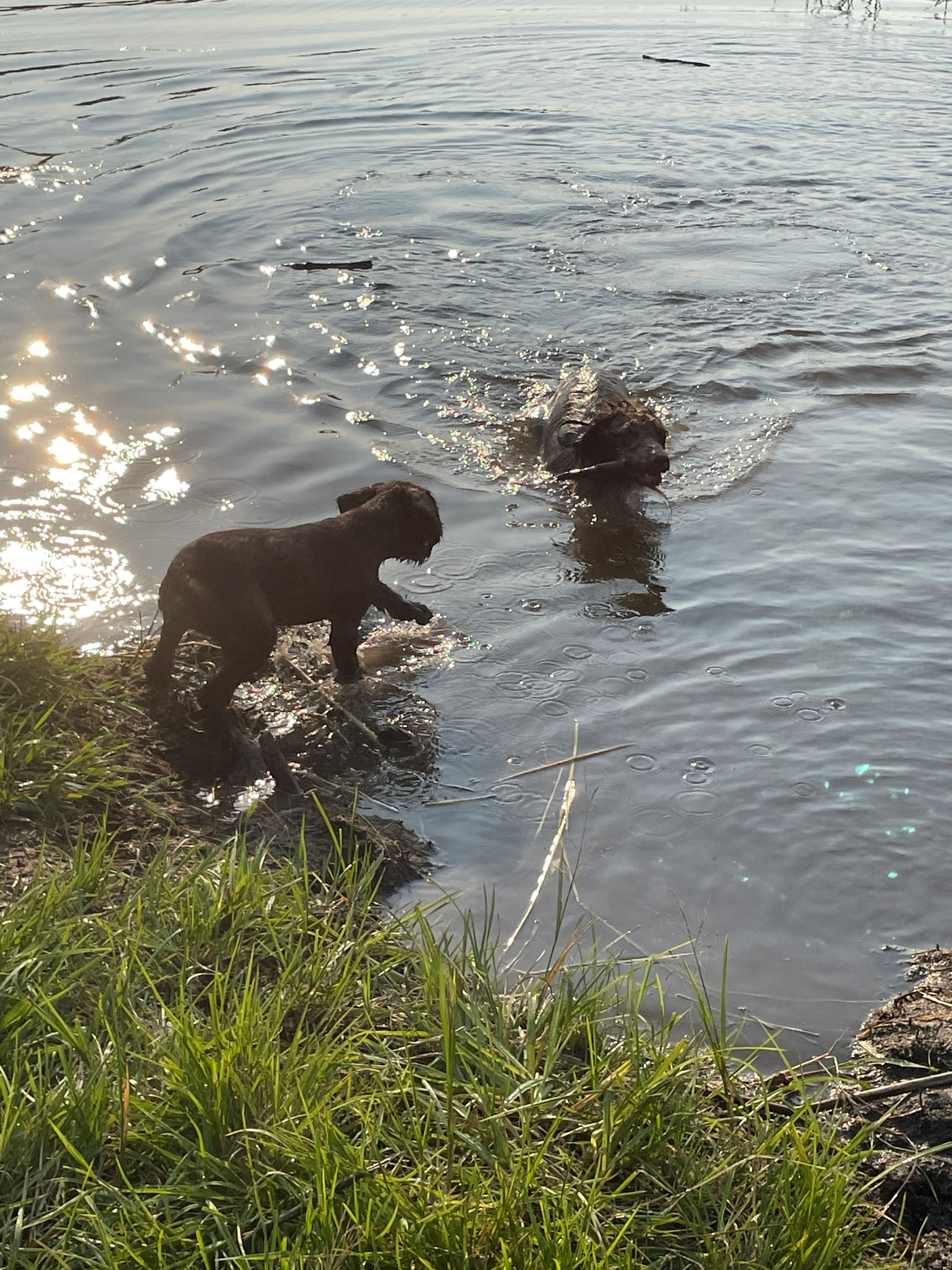 Training Deposit