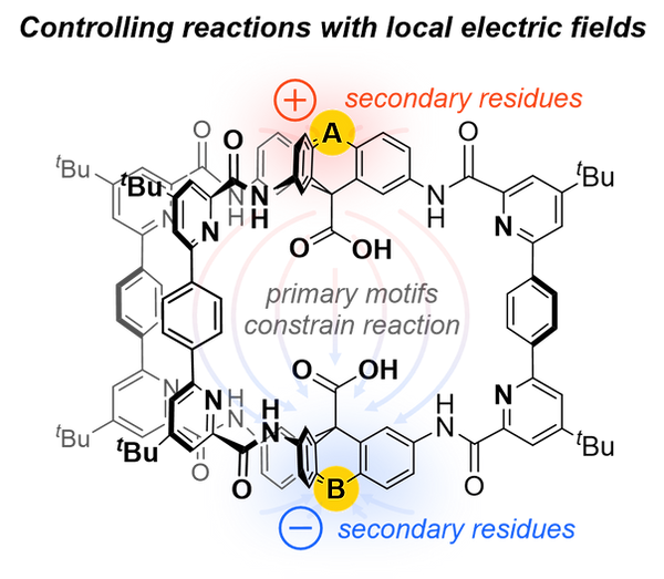 ElectricFIelds.png