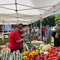 IMG_1913.jpeg