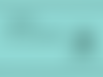 2025 fue un gran año para Renaciti