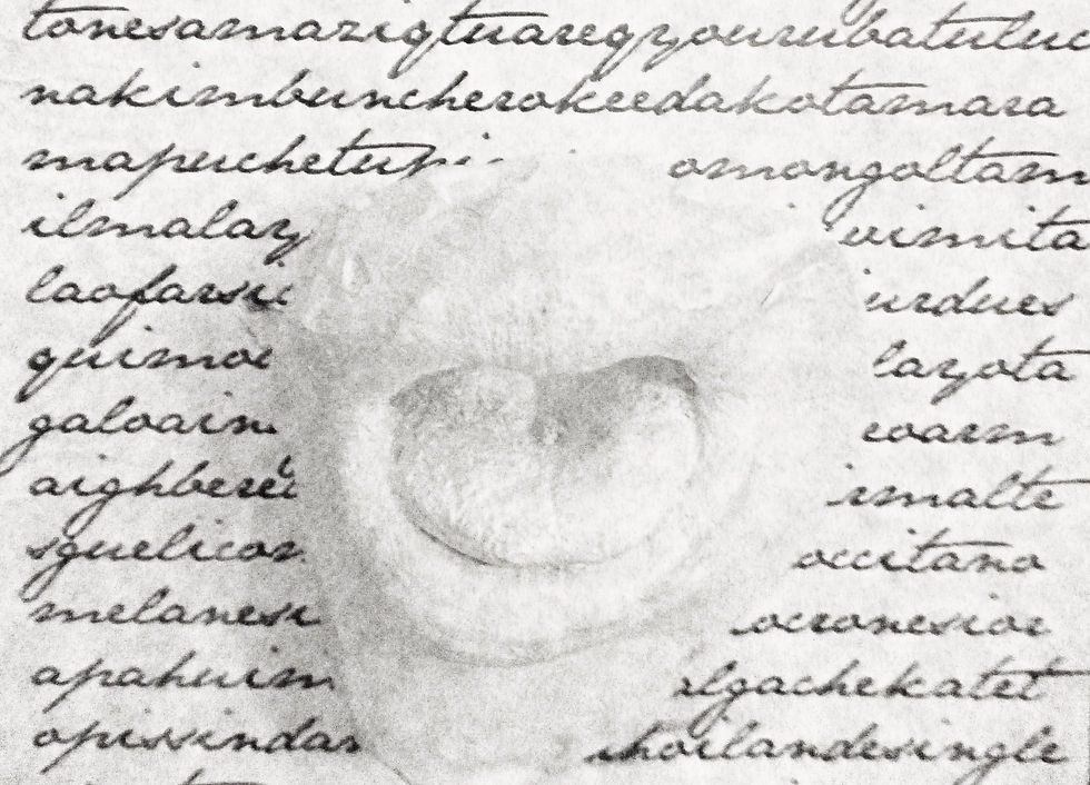 detalle
