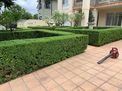 Hedging