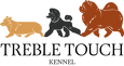 logo + titolo colorato 15x8 cm.png