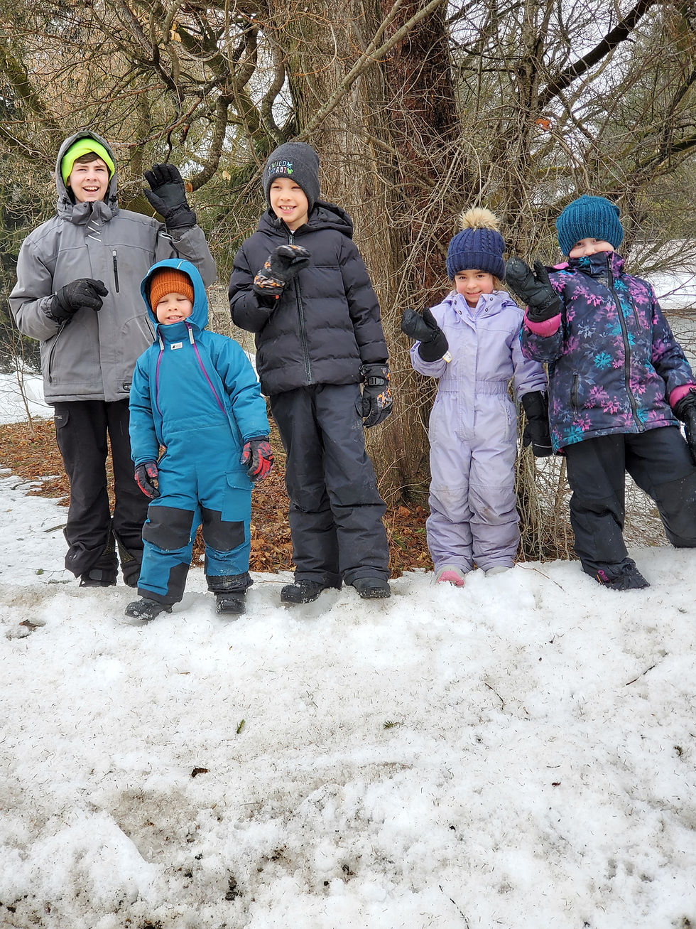 Going, Going, Almost Gone!