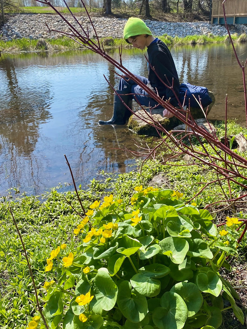 Our Power, Our Planet