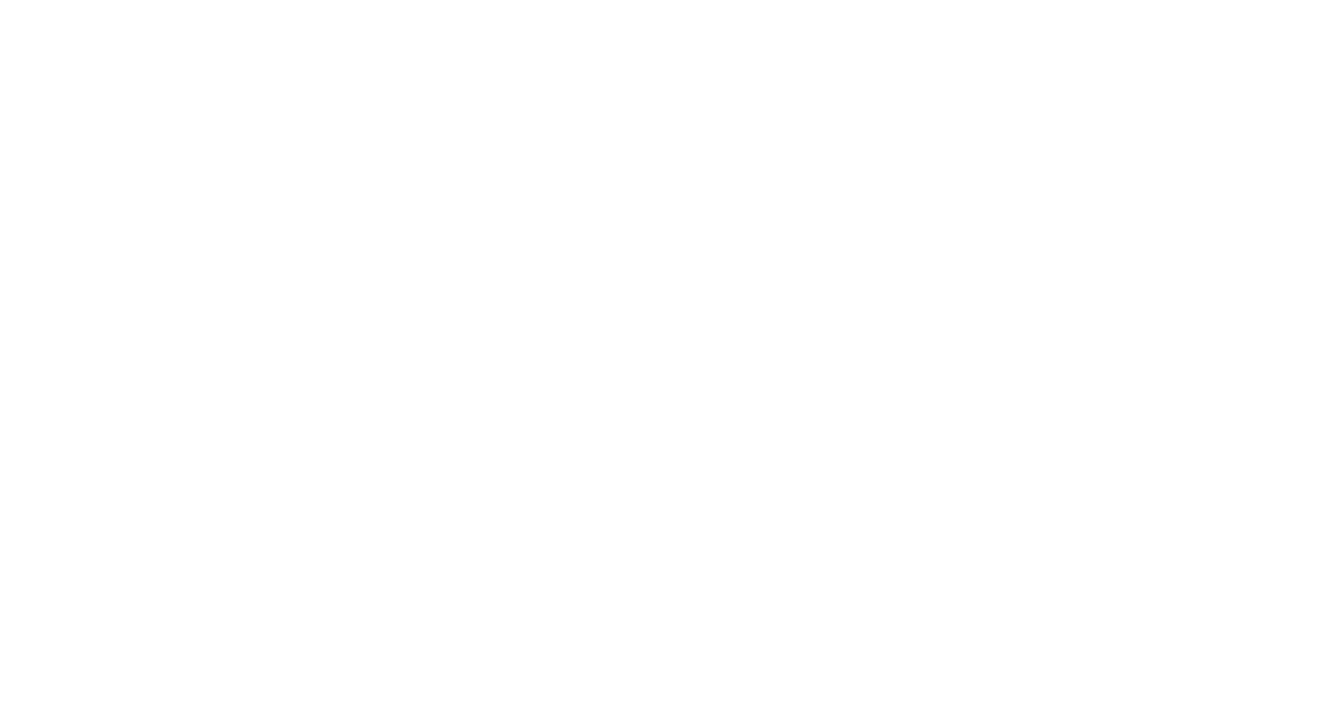 vegvesen-logo-hvit-rgb.webp
