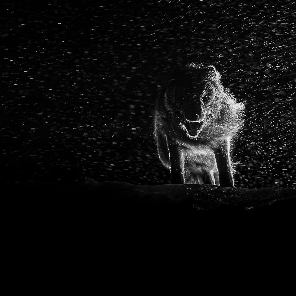 Out of the darkness.jpg