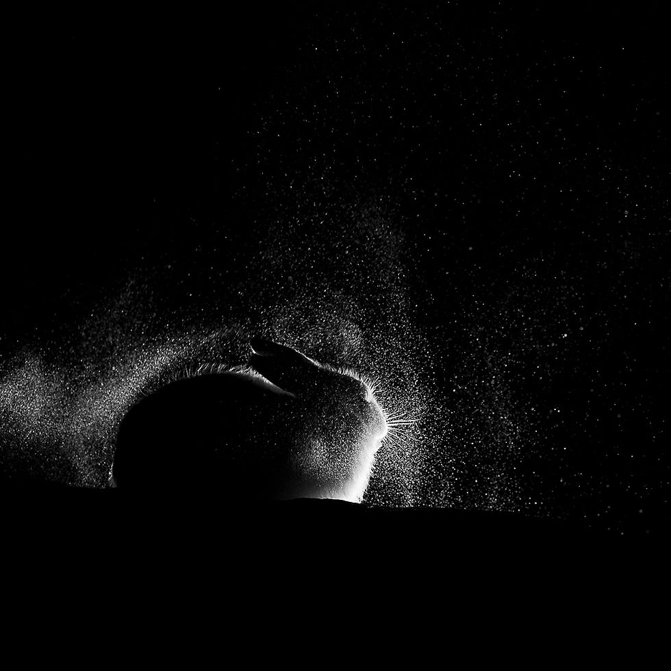 Alone in the darkness1.jpg