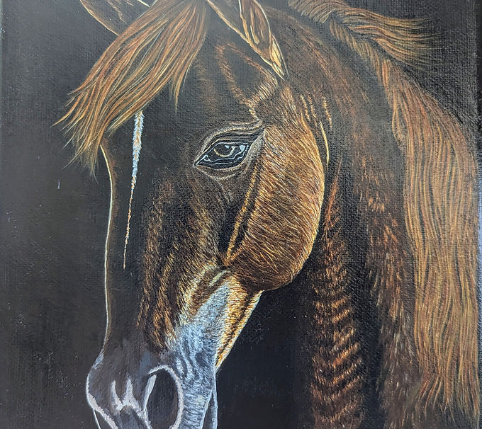 Horse Portrait