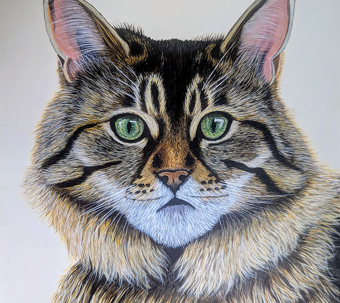 Cat portrait