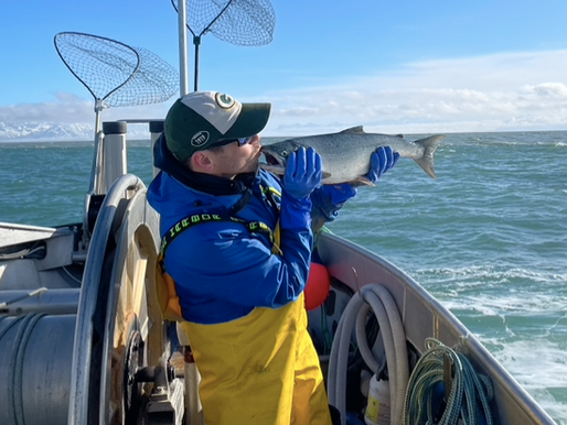 Juro Kusnir kissing a Copper River sockeye salmon