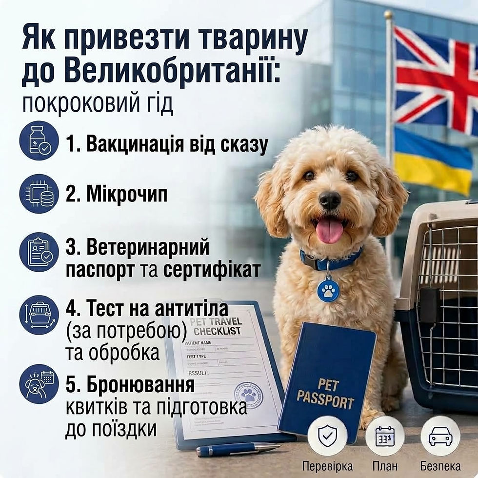 Як привезти тварину до Великобританії: покроковий гід