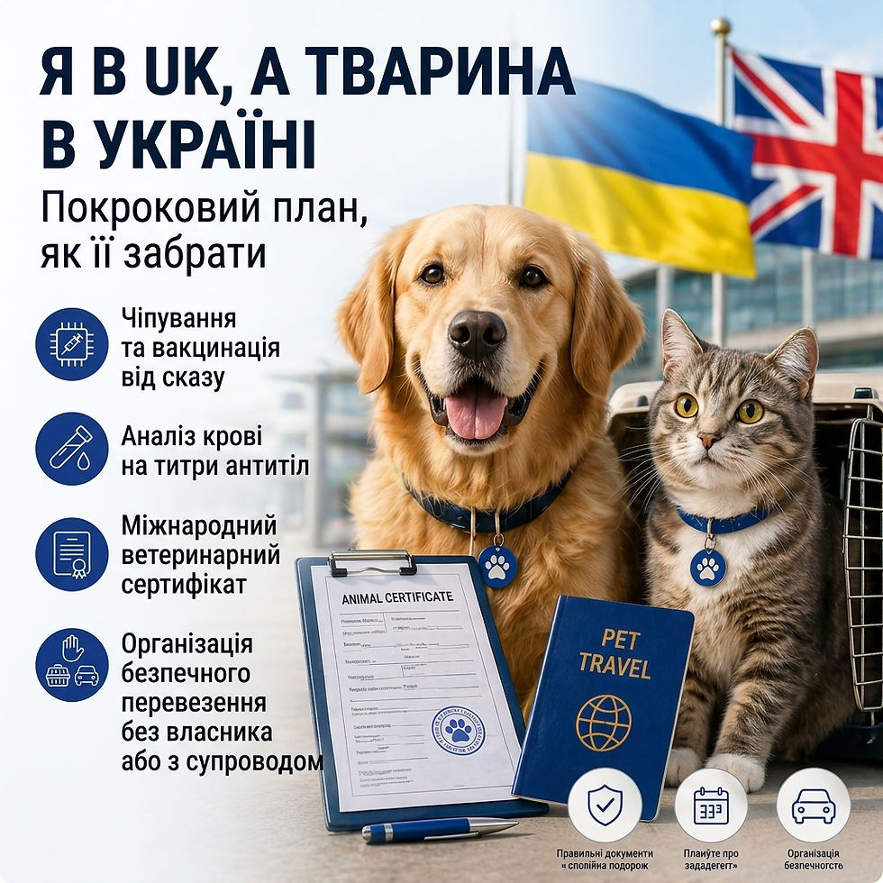 Я в UK, а моя тварина в Україні: покроковий план, як її забрати