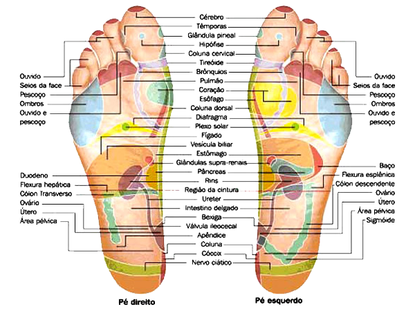 Reflexologia podal