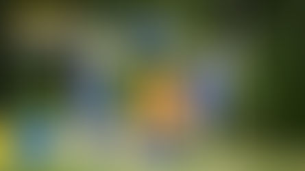 Prova på Agility 30 maj