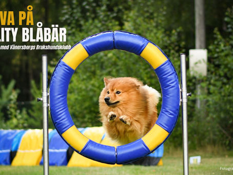 Prova på Agility 30 maj