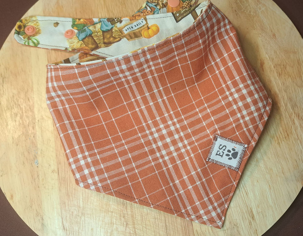 Thumbnail: Dog Bandana - Reversible Scarecrow & Plaid