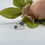 Thumbnail: 'Iris' 925 Silver Ring