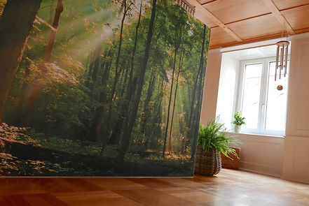 APM Praxisraum in Zug