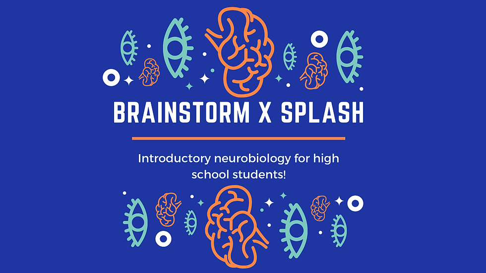 Brainstorm x Splash at Berkeley