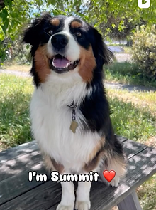 Summit.png