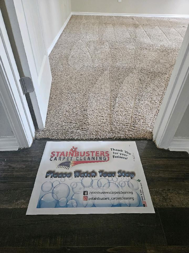 High angle view of a steam cleaner cleaning a heavily soiled carpet