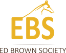 Ed Brown Logo Gold.png
