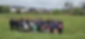 ๐ฑ Rooting for the Future: How VT Seva Maryland Shattered Earth Day Goals with 190 New Trees