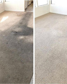 Carpet-Cleaning-Services-in-Pasco.jpg