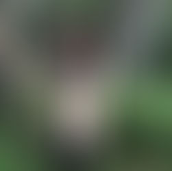 La escena de Victoria Ruffo en La madrastra que se hizo viral por el coronavirus.