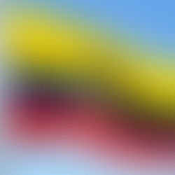 26 de septiembre, Día de la Bandera Ecuatoriana.