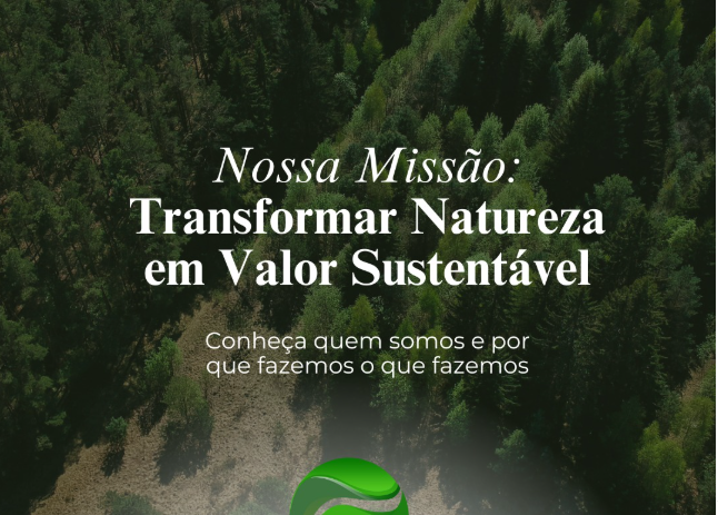 Captura de tela 2025-10-08 101625.png