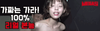 메가스 링크 모음 주소 모음 순위사이트